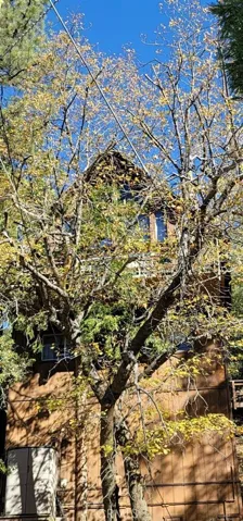 984 Sandalwood Drive, Lake Arrowhead, California 92352