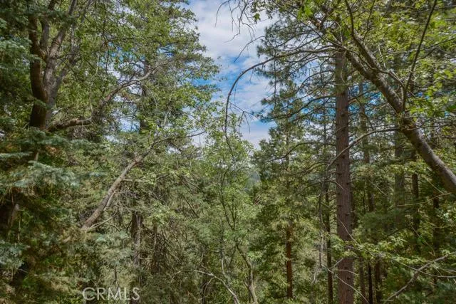 26354 Forest Lane, Twin Peaks, California 92391