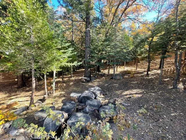 25888 W State Highway 189, Twin Peaks, California 92391