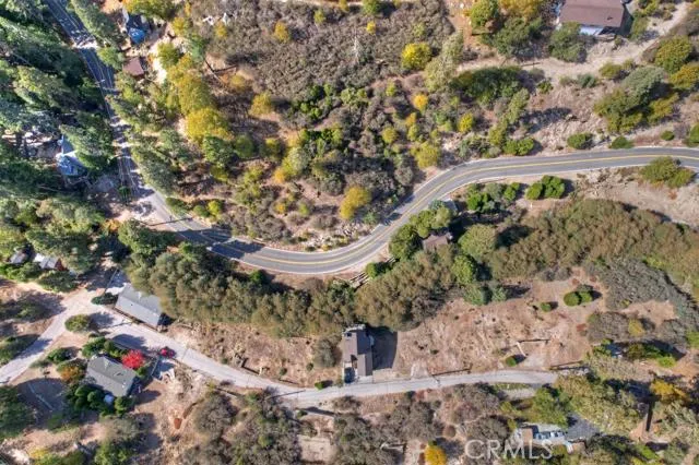 248 Alder Lane, Cedar Glen, California 92321