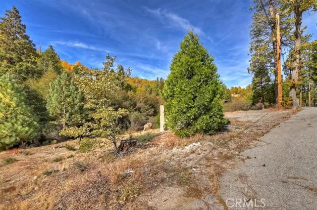 248 Alder Lane, Cedar Glen, California 92321
