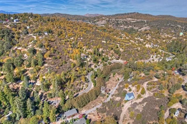 248 Alder Lane, Cedar Glen, California 92321