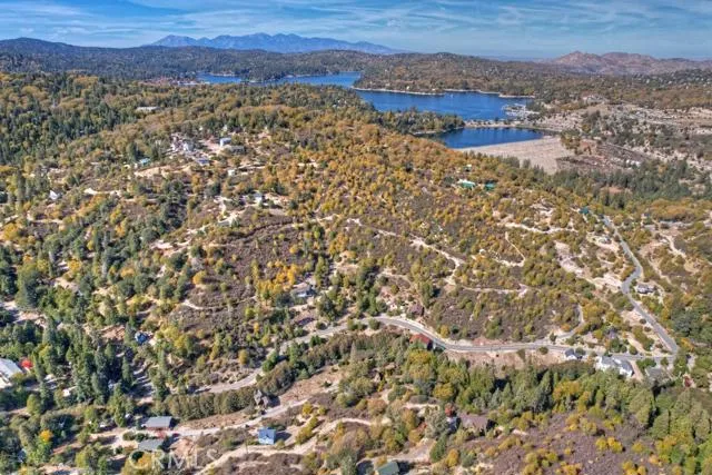 248 Alder Lane, Cedar Glen, California 92321