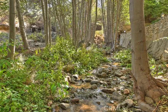 248 Alder Lane, Cedar Glen, California 92321