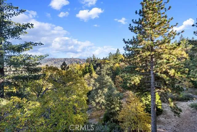 179 Canyon View Drive, Crestline, California 92325