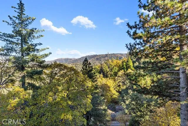 179 Canyon View Drive, Crestline, California 92325