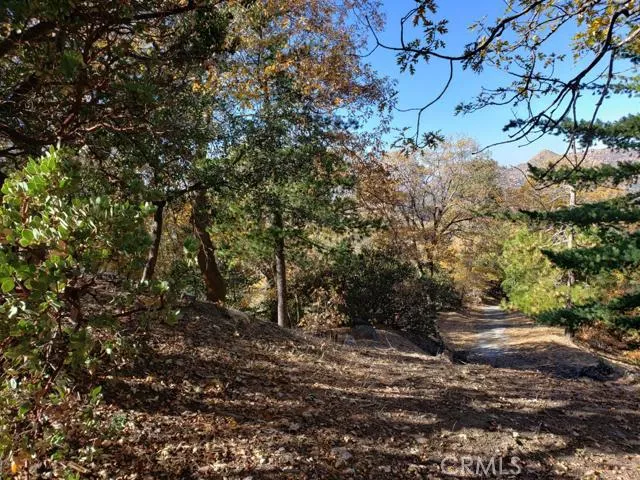 0 Evergreen Ln., Lake Arrowhead, California 92352