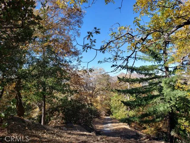 0 Evergreen Ln., Lake Arrowhead, California 92352