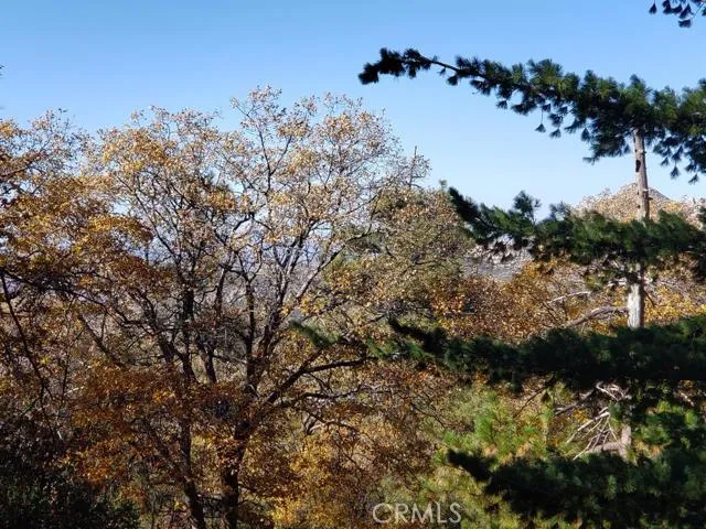 0 Evergreen Ln., Lake Arrowhead, California 92352