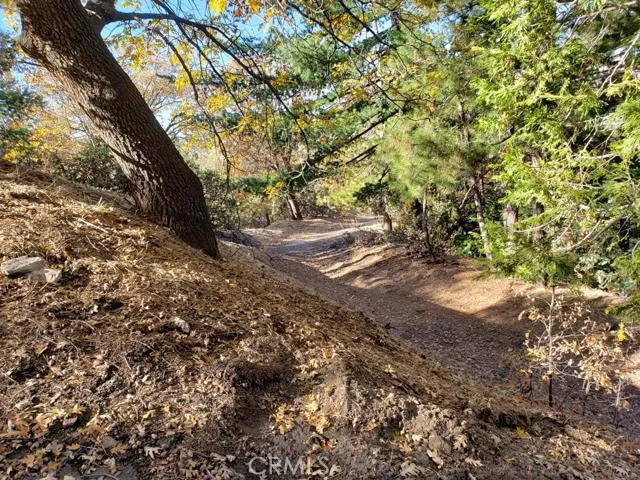 0 Evergreen Ln., Lake Arrowhead, California 92352