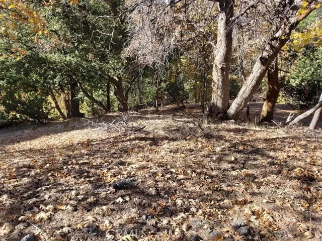 0 Evergreen Ln., Lake Arrowhead, California 92352