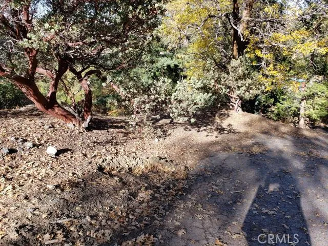 0 Evergreen Ln., Lake Arrowhead, California 92352