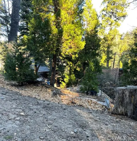0 E Lane, Lake Arrowhead, California 92352