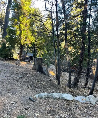 0 E Lane, Lake Arrowhead, California 92352
