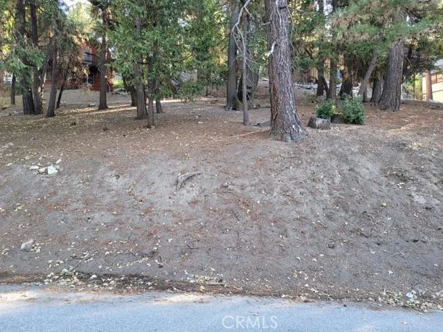 0 Oceanview Drive, Running Springs, California 92382