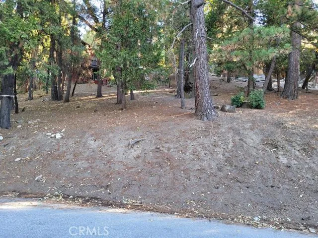0 Oceanview Drive, Running Springs, California 92382