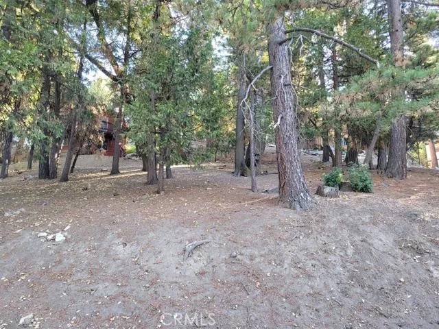 0 Oceanview Drive, Running Springs, California 92382