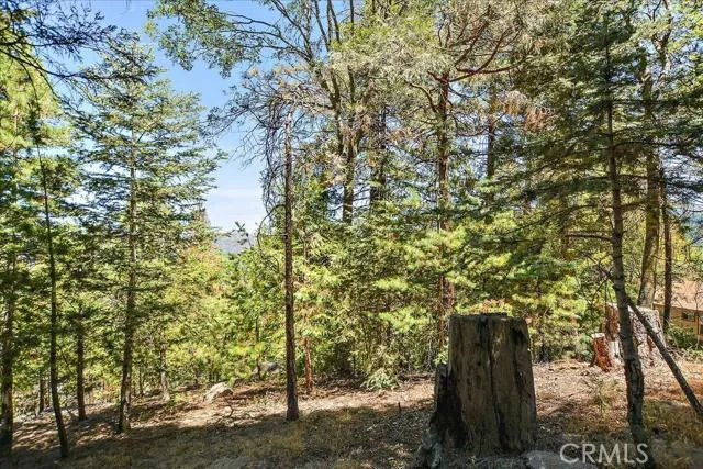24543 S Albrun Drive, Crestline, California 92325