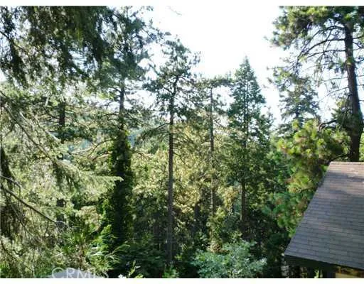 737 Arrowhead Villas Road, Lake Arrowhead, California 92352