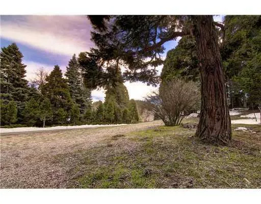 465 Cedar Ridge Drive, Lake Arrowhead, California 92352