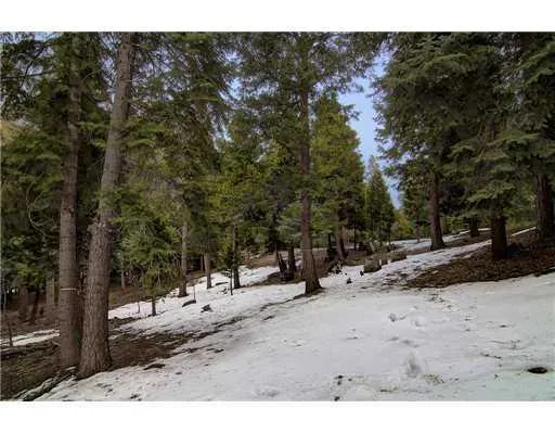 465 Cedar Ridge Drive, Lake Arrowhead, California 92352
