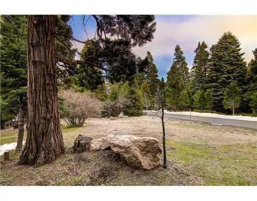 465 Cedar Ridge Drive, Lake Arrowhead, California 92352