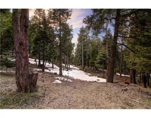 465 Cedar Ridge Drive, Lake Arrowhead, California 92352