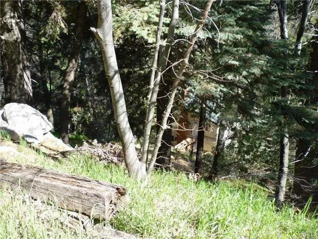 26469 Thunderbird Drive, Lake Arrowhead, California 92352