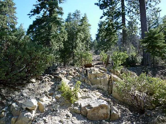 276 N Fairway Drive, Lake Arrowhead, California 92352
