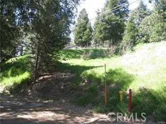 0 Cold Springs Rd., Cedarpines Park, California 92325
