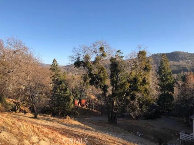29181 Lakebrook Avenue, Cedar Glen, California 92321
