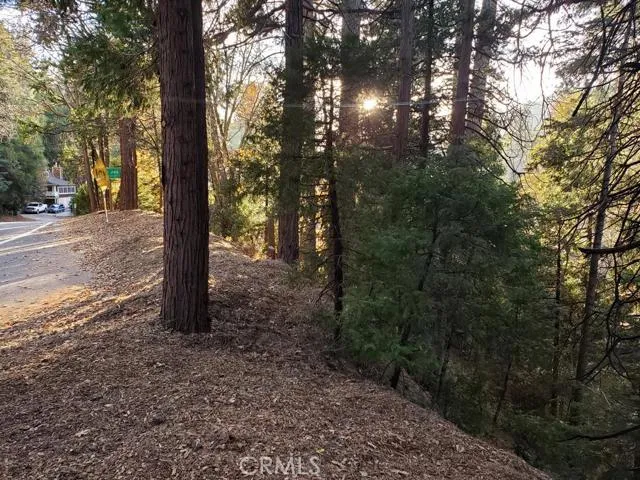 0 Hwy 189, Blue Jay, California 92317