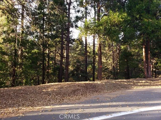 0 Hwy 189, Blue Jay, California 92317
