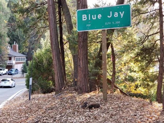 0 Hwy 189, Blue Jay, California 92317