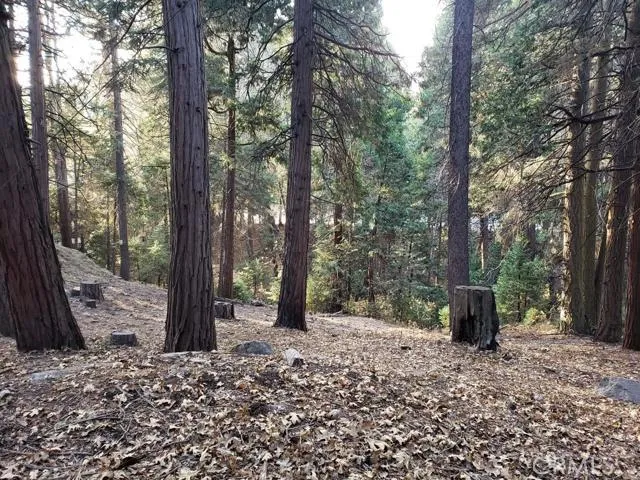 0 Hwy 189, Blue Jay, California 92317