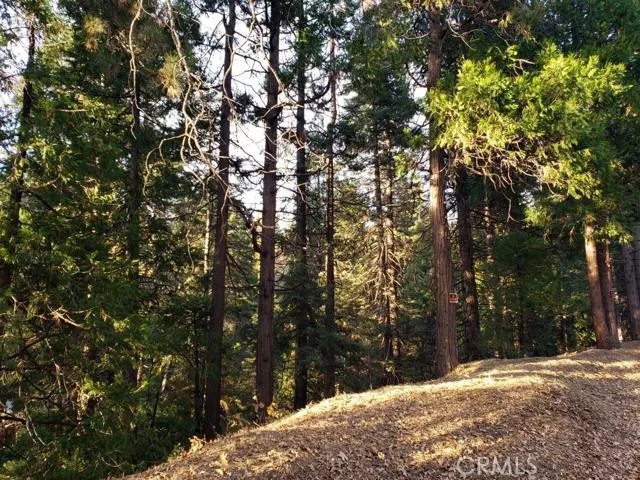 0 Hwy 189, Blue Jay, California 92317