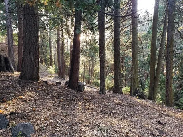 0 Hwy 189, Blue Jay, California 92317