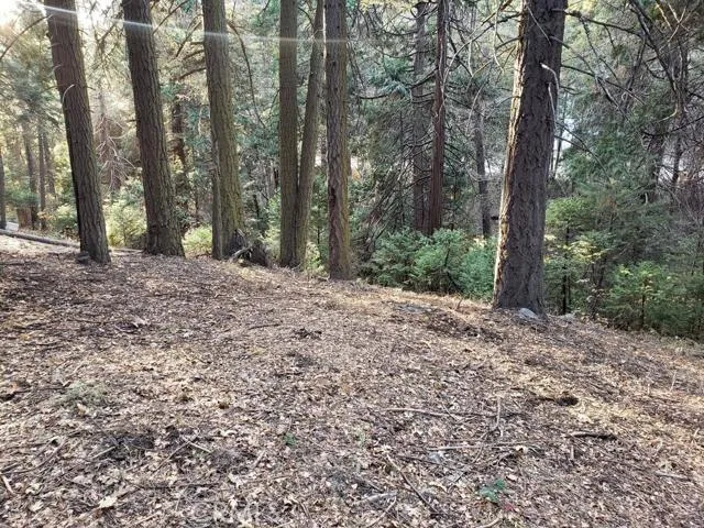 0 Hwy 189, Blue Jay, California 92317