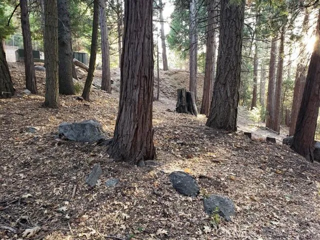 0 Hwy 189, Blue Jay, California 92317