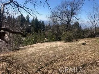 REAR YARD
