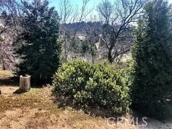 REAR YARD
