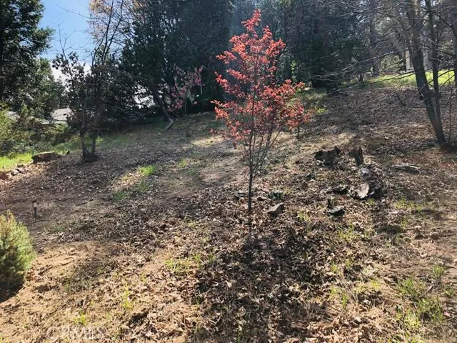 378 Zermatt Drive, Crestline, California 92325