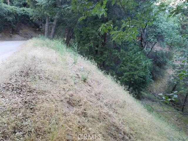 0 Edelweiss, Crestline, California 92325