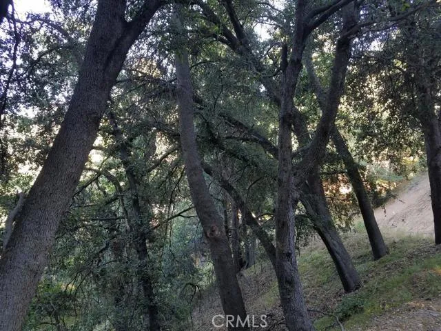 0 Edelweiss, Crestline, California 92325