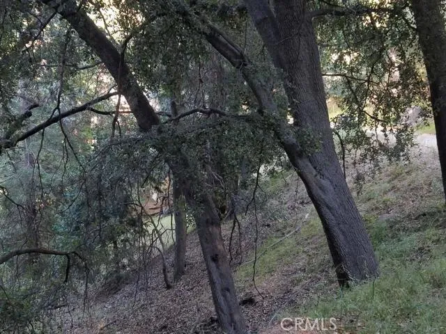 0 Edelweiss, Crestline, California 92325