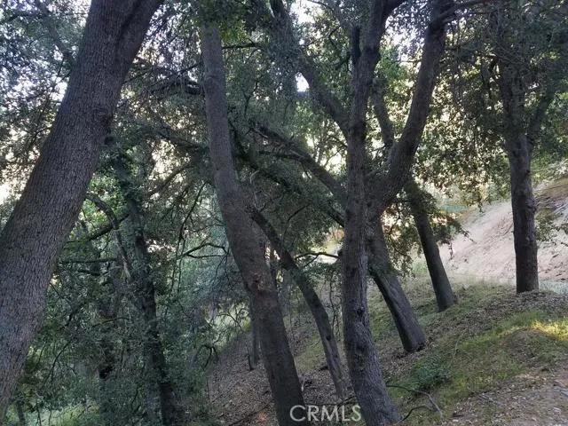 0 Edelweiss, Crestline, California 92325