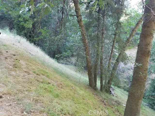 0 Edelweiss, Crestline, California 92325