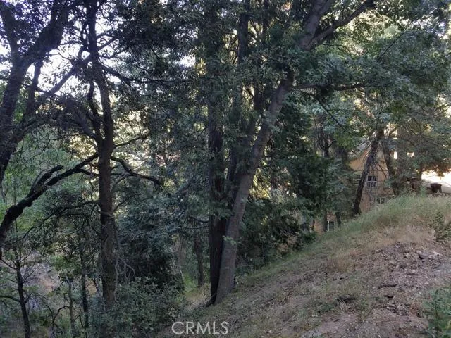 0 Edelweiss, Crestline, California 92325