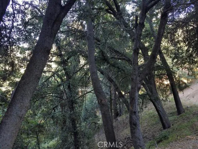0 Edelweiss, Crestline, California 92325