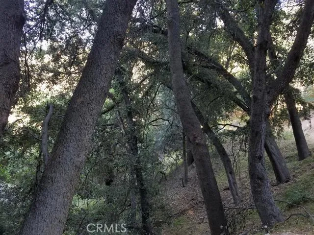 0 Edelweiss, Crestline, California 92325